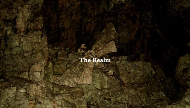 The Realm 游戏封面