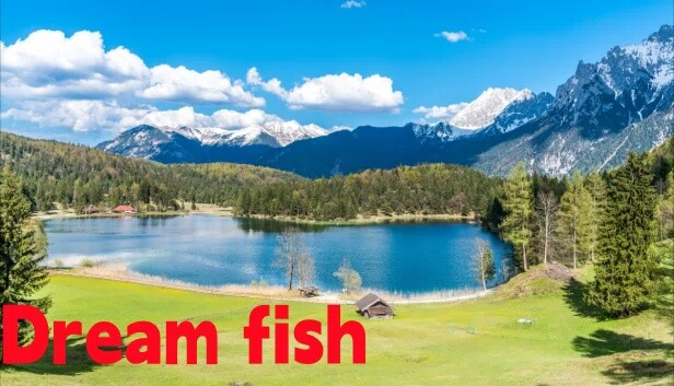 梦鱼（Dream fish） 游戏封面