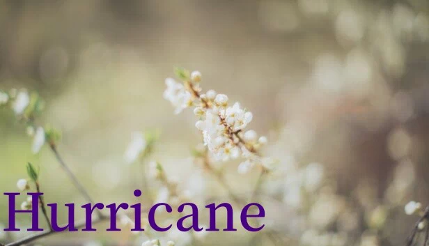 飓风(Hurricane) 游戏封面