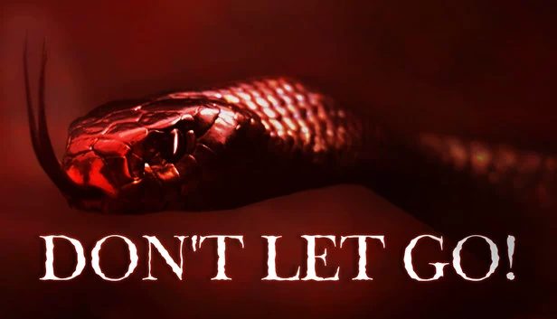 别松手!(Don't Let Go!) 游戏封面