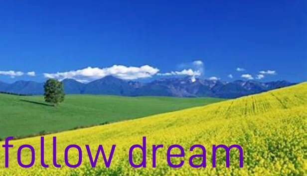 追梦（follow dream） 游戏封面
