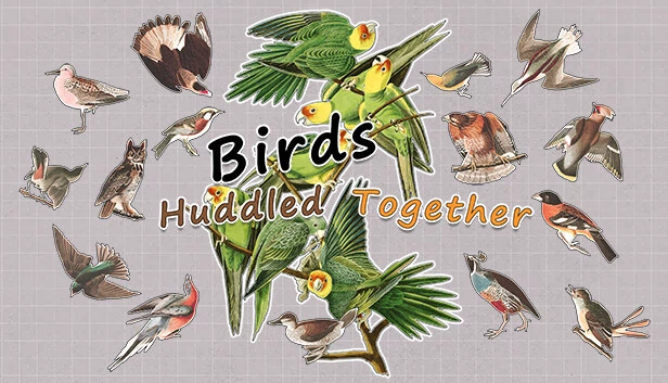群鸟（Birds Huddled Together） 游戏封面