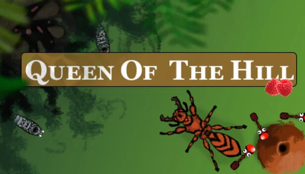 山顶女王（Queen Of The Hill） 游戏封面