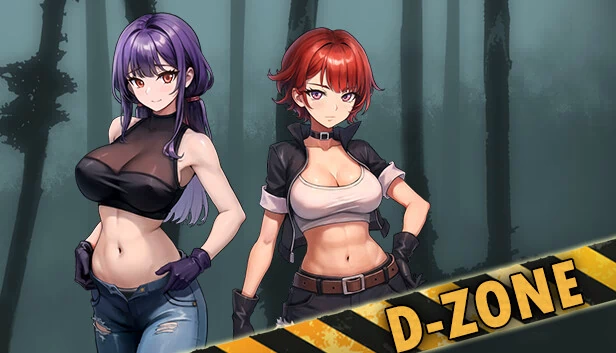 D-Zone 游戏封面