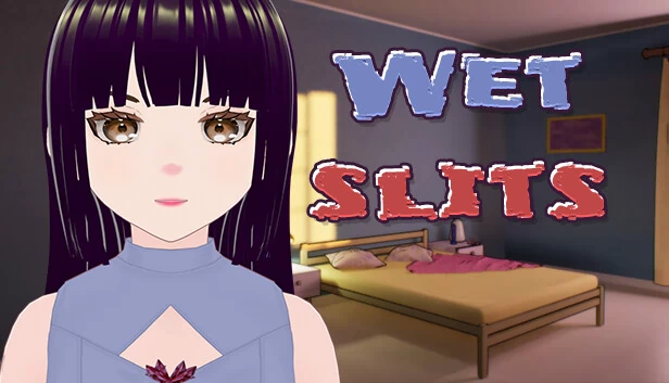 湿滑裂缝（Wet Slits） 游戏封面