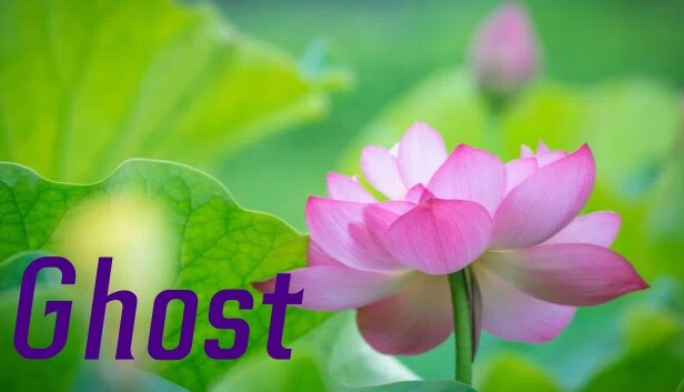 幽灵（Ghost） 游戏封面