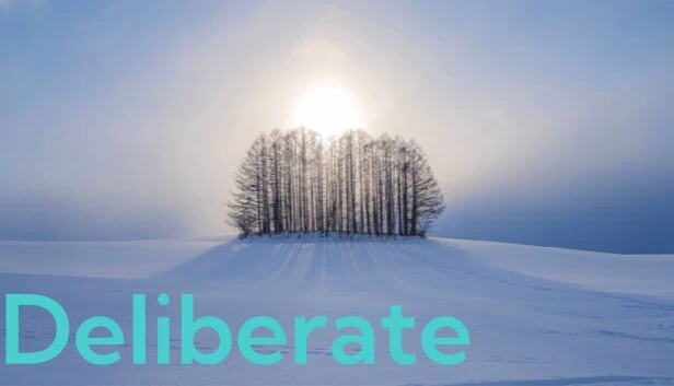 Deliberate 游戏封面