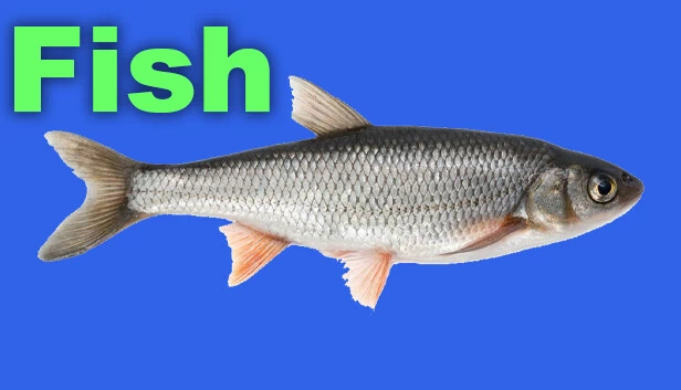 Fish 游戏封面