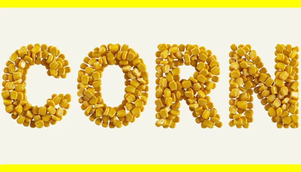 玉米（CORN） 游戏封面