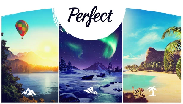 完美（Perfect） 游戏封面