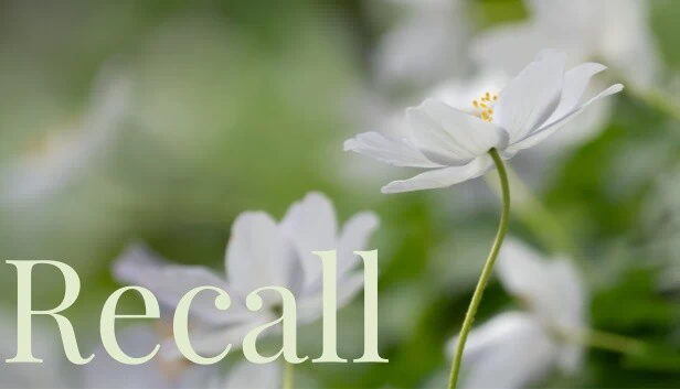 Recall 游戏封面