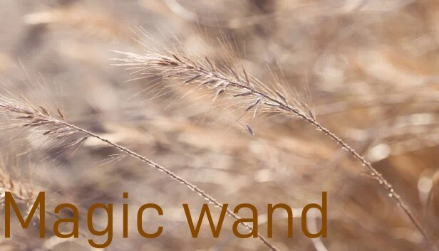 魔法杖（Magic wand） 游戏封面