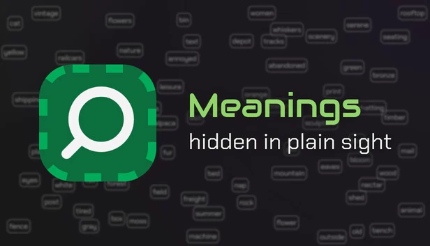 隐藏在眼前的意义（Meanings hidden in plain sight） 游戏封面
