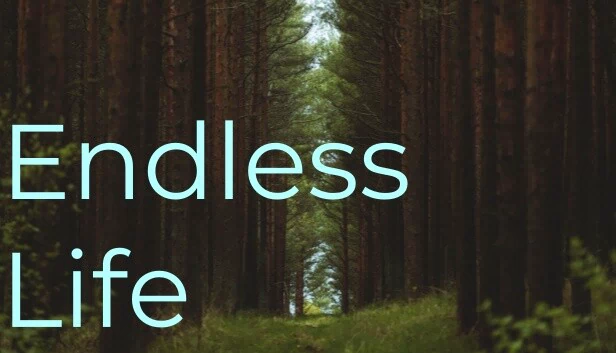 无尽生命（Endless Life） 游戏封面