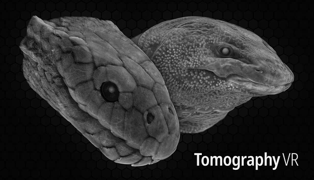 断层扫描 VR（Tomography VR） 游戏封面