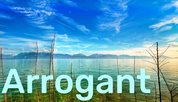 傲慢（Arrogant） 游戏封面
