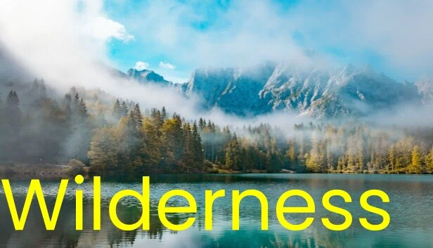荒野（Wilderness） 游戏封面