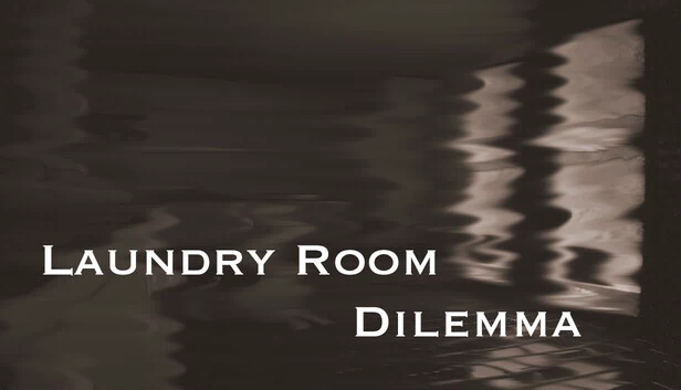 洗衣房困境（Laundry Room Dilemma） 游戏封面
