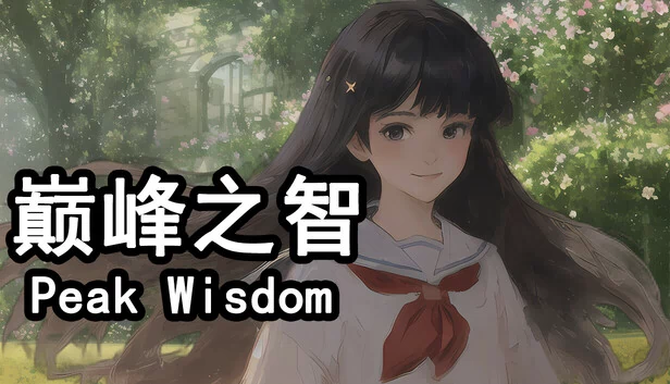 巅峰之智 Peak Wisdom 游戏封面