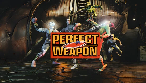 完美武器（Perfect Weapon） 游戏封面