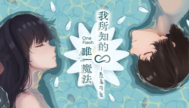 一体（OneFlesh） 游戏封面