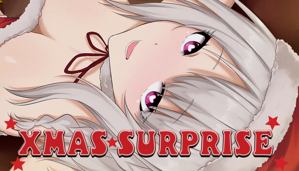 圣诞惊喜（Xmas Surprise） 游戏封面