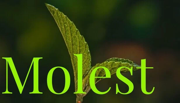 Molest 游戏封面