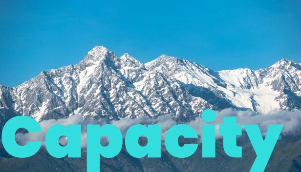 容量（Capacity） 游戏封面