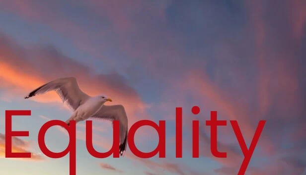 平等（Equality） 游戏封面