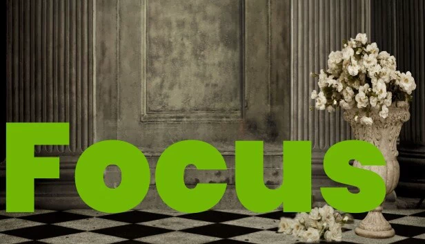 Focus 游戏封面