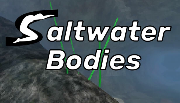 盐水体（Saltwater Bodies） 游戏封面