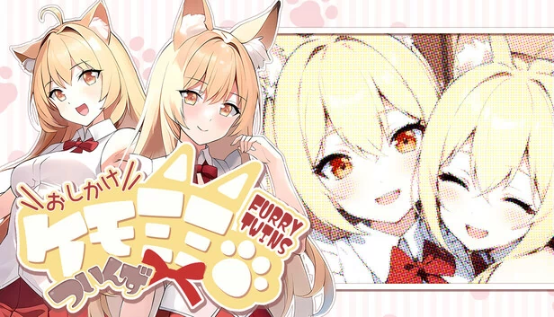 おしかけケモミミついんず FURRY TWINS 游戏封面