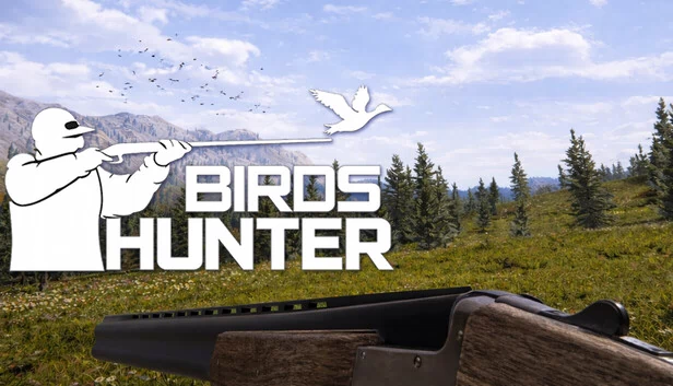 鸟类猎人（Birds Hunter） 游戏封面