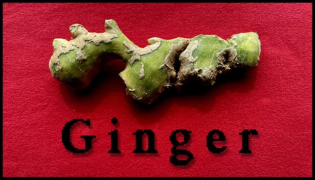 姜（Ginger） 游戏封面