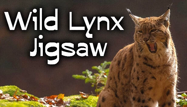 野性山猫拼图（Wild Lynx Jigsaw） 游戏封面
