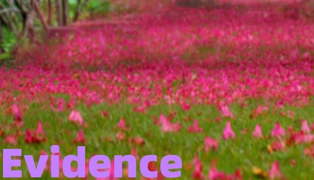 证据（Evidence） 游戏封面