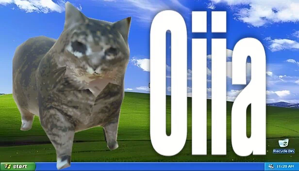oiia 游戏封面