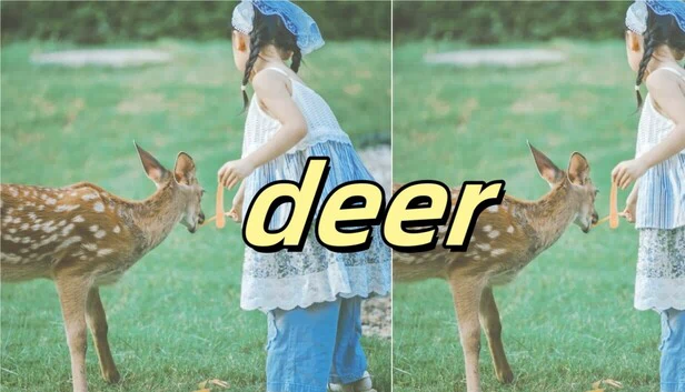 鹿（deer） 游戏封面
