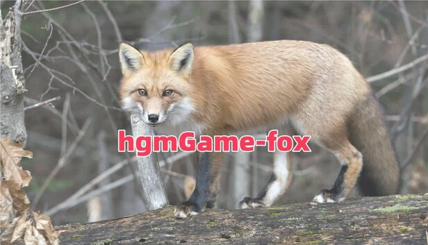 hgmGame-fox 游戏封面