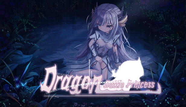 龙战公主（Dragon Battle Princess） 游戏封面