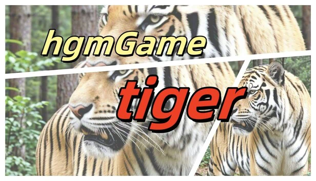 hgmGame-tiger 游戏封面