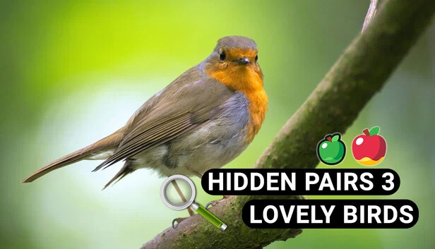 隐藏配对3:可爱小鸟 - 隐藏物品(Hidden Pairs 3: Lovely Birds - Hidden Objects) 游戏封面
