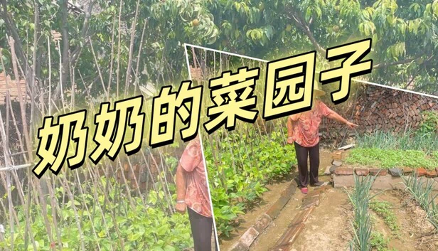 奶奶的菜园子 游戏封面