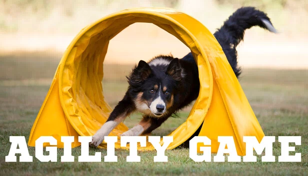 敏捷游戏（Agility Game） 游戏封面