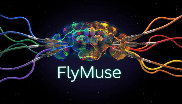 FlyMuse 游戏封面