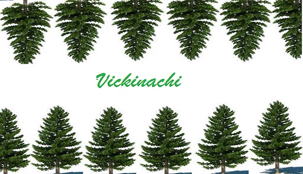 Vickinachi 游戏封面