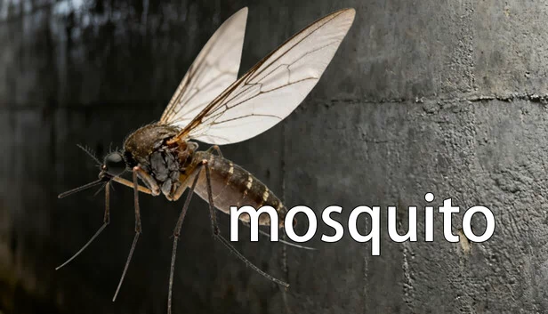 蚊子（mosquito） 游戏封面