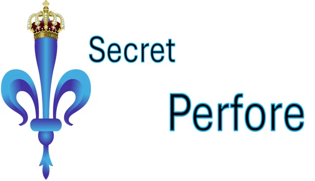 Secret Perfore 游戏封面