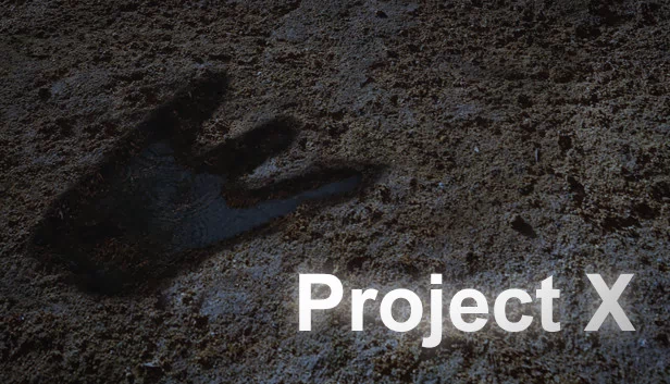 X计划(Project X) 游戏封面