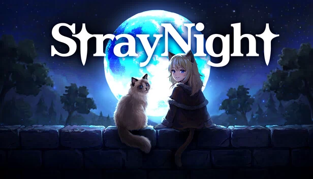迷失之夜（Stray Night） 游戏封面